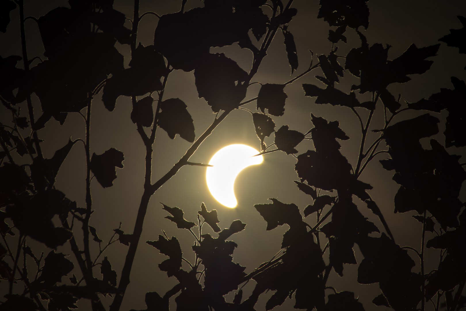 Elipse