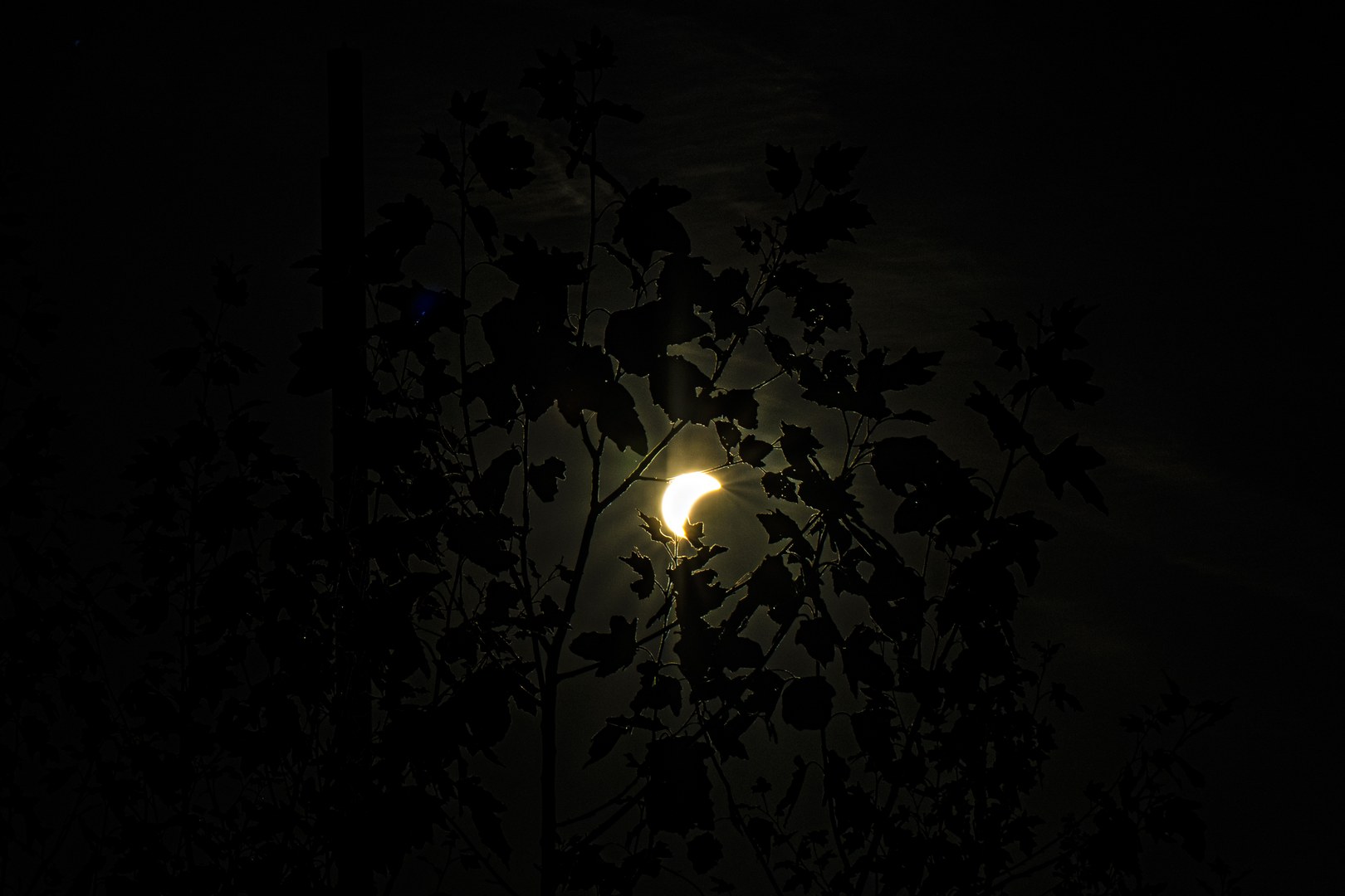 Elipse