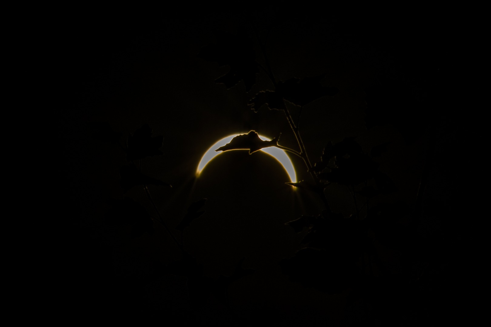 Elipse