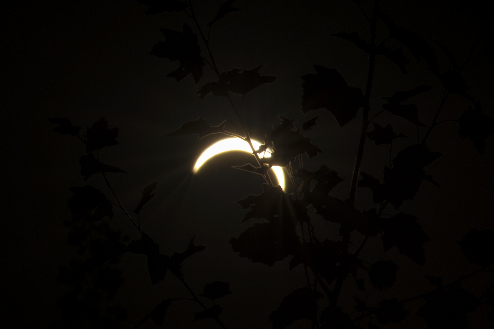 Elipse
